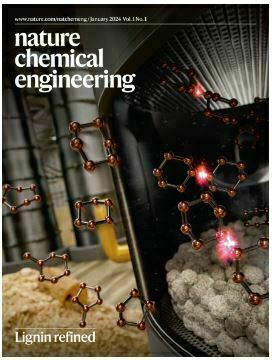 Nature Chemical Engineering, January 2024 cover