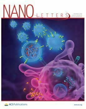 NANO LETTERS, 2021 cover