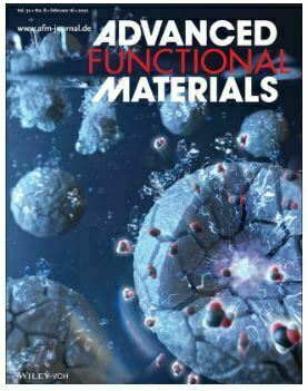 Applied Materials & Interfaces, November 2021 cover