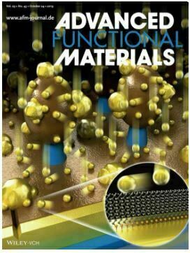 Advanced Functional Materials,  2019 Cover