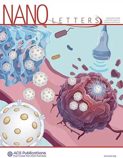 Nano Letters_cover2